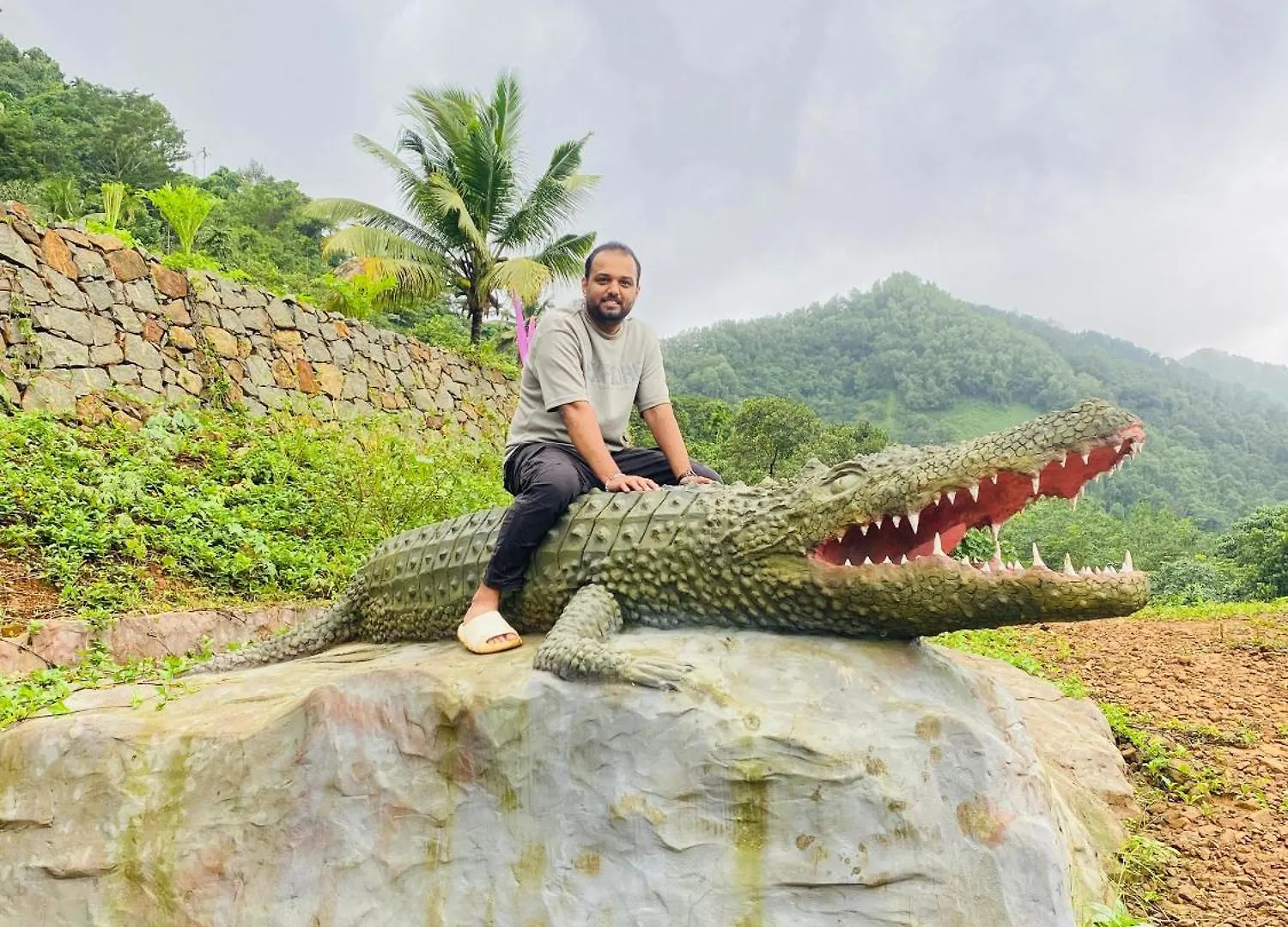 Peak Paradise Resort Paithalmala