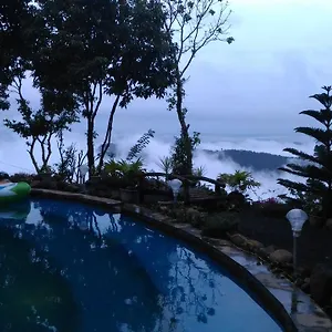  Holiday park Regina Silva Camping & Nature